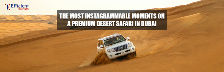 Screenshot 2025 05 28 162145 768x249