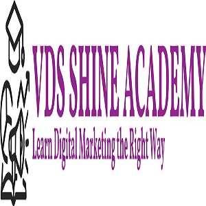 VDSSHINEACADEMY LOGO 1