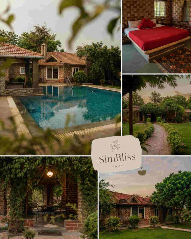 simbiss farm post.jpg 1 768x960