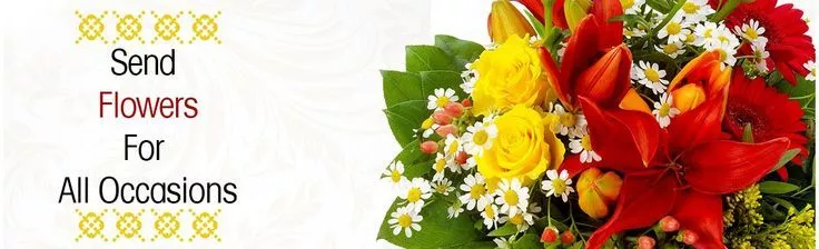 Quick Search India Quick Search India